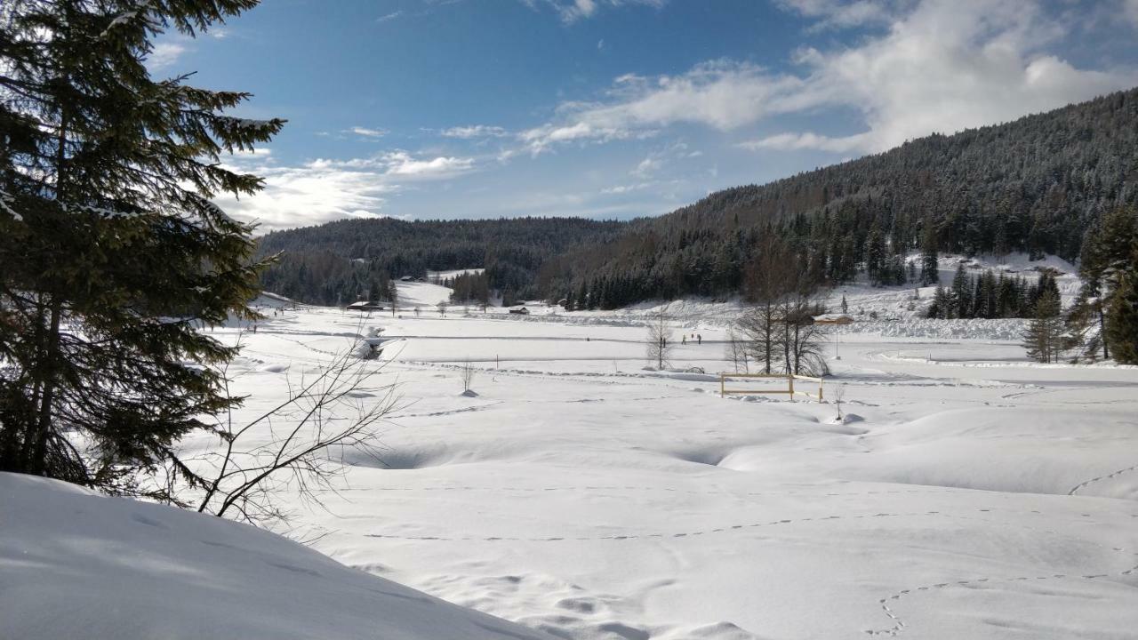 Haus Senn Leilighet Seefeld in Tirol Eksteriør bilde